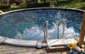Come eliminare le alghe in piscina